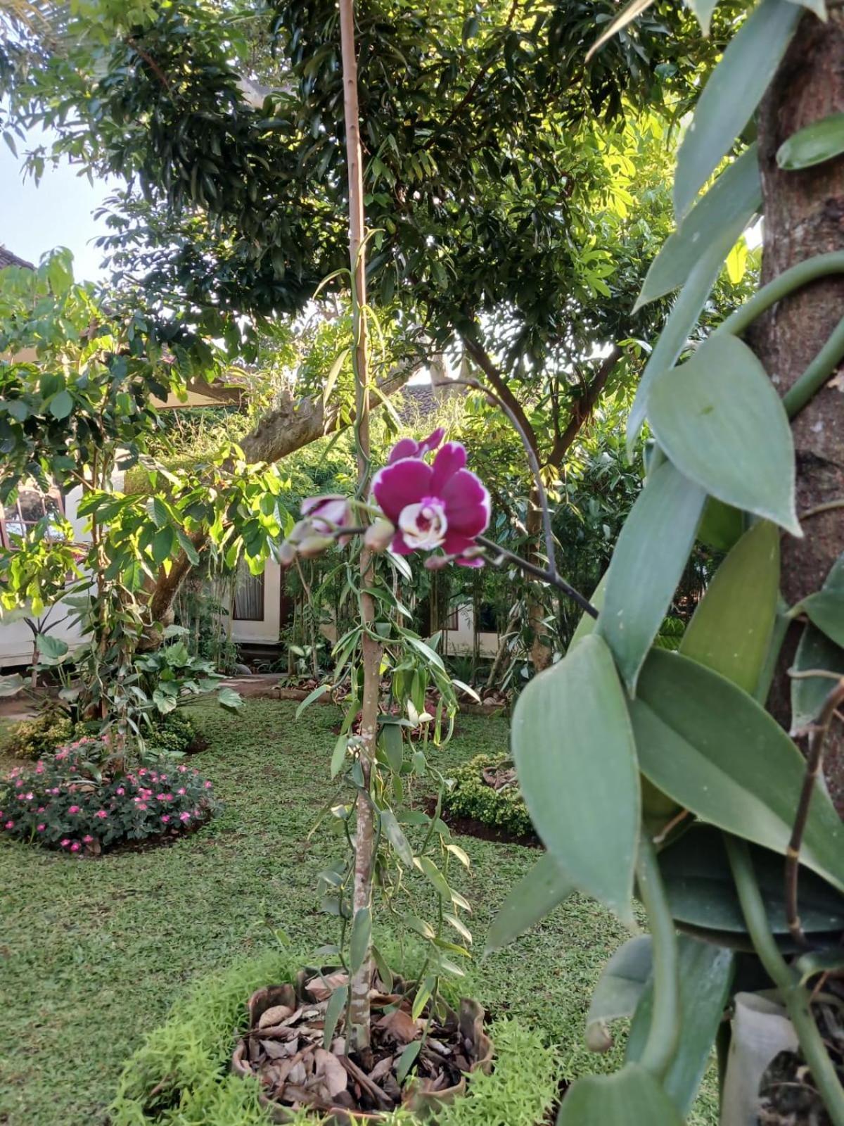 Apartamento Puri Amartha Ubud Exterior foto